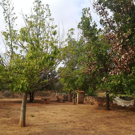 Mas De Paco, Chimenea, Barbacoa Y Piscina Villa Vall dʼAlba Buitenkant foto