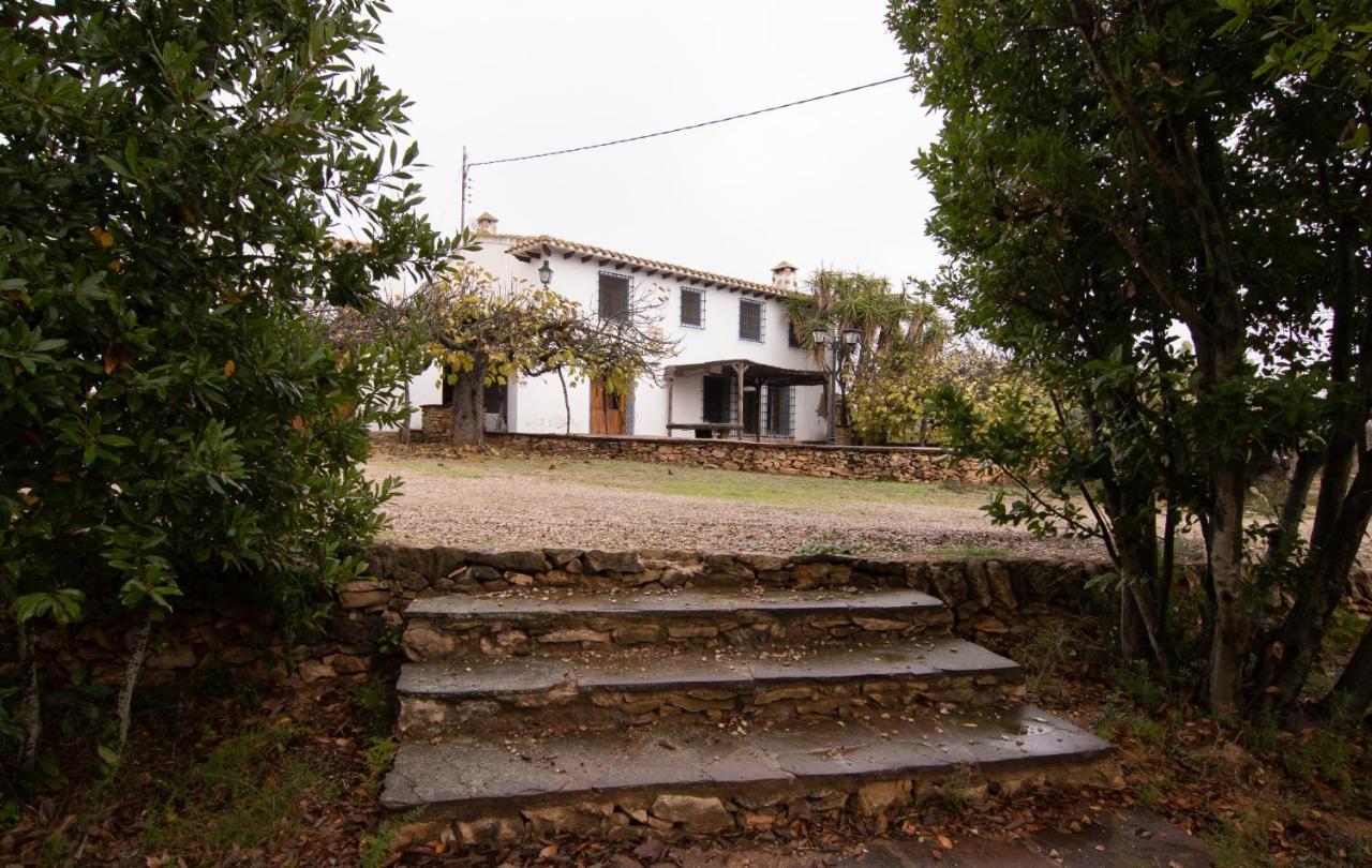 Mas De Paco, Chimenea, Barbacoa Y Piscina Villa Vall dʼAlba Buitenkant foto