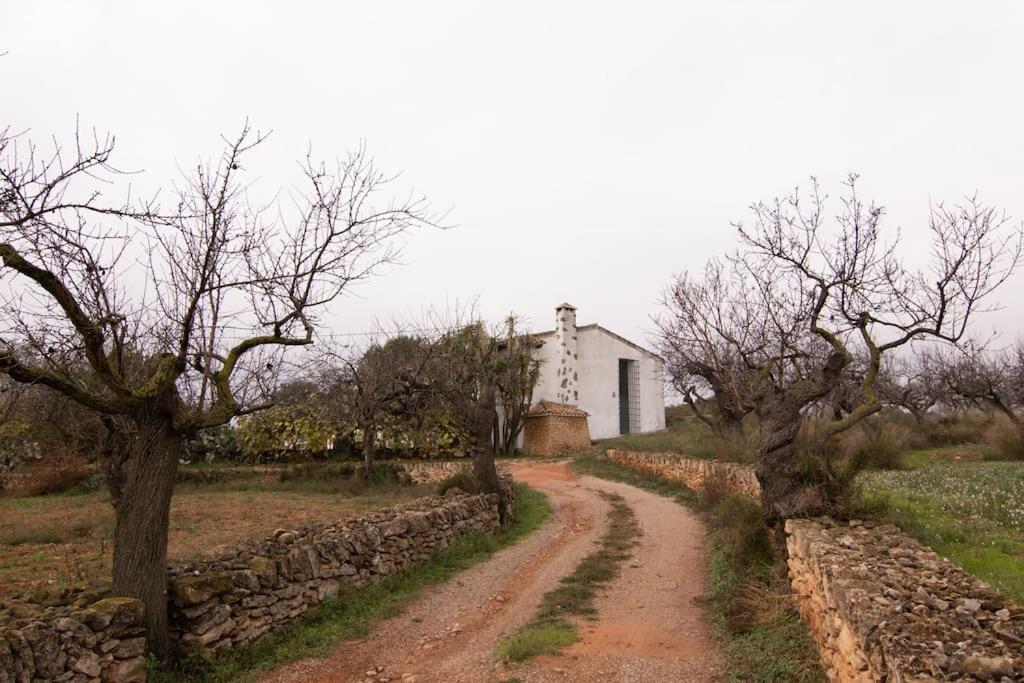 Mas De Paco, Chimenea, Barbacoa Y Piscina Villa Vall dʼAlba Buitenkant foto