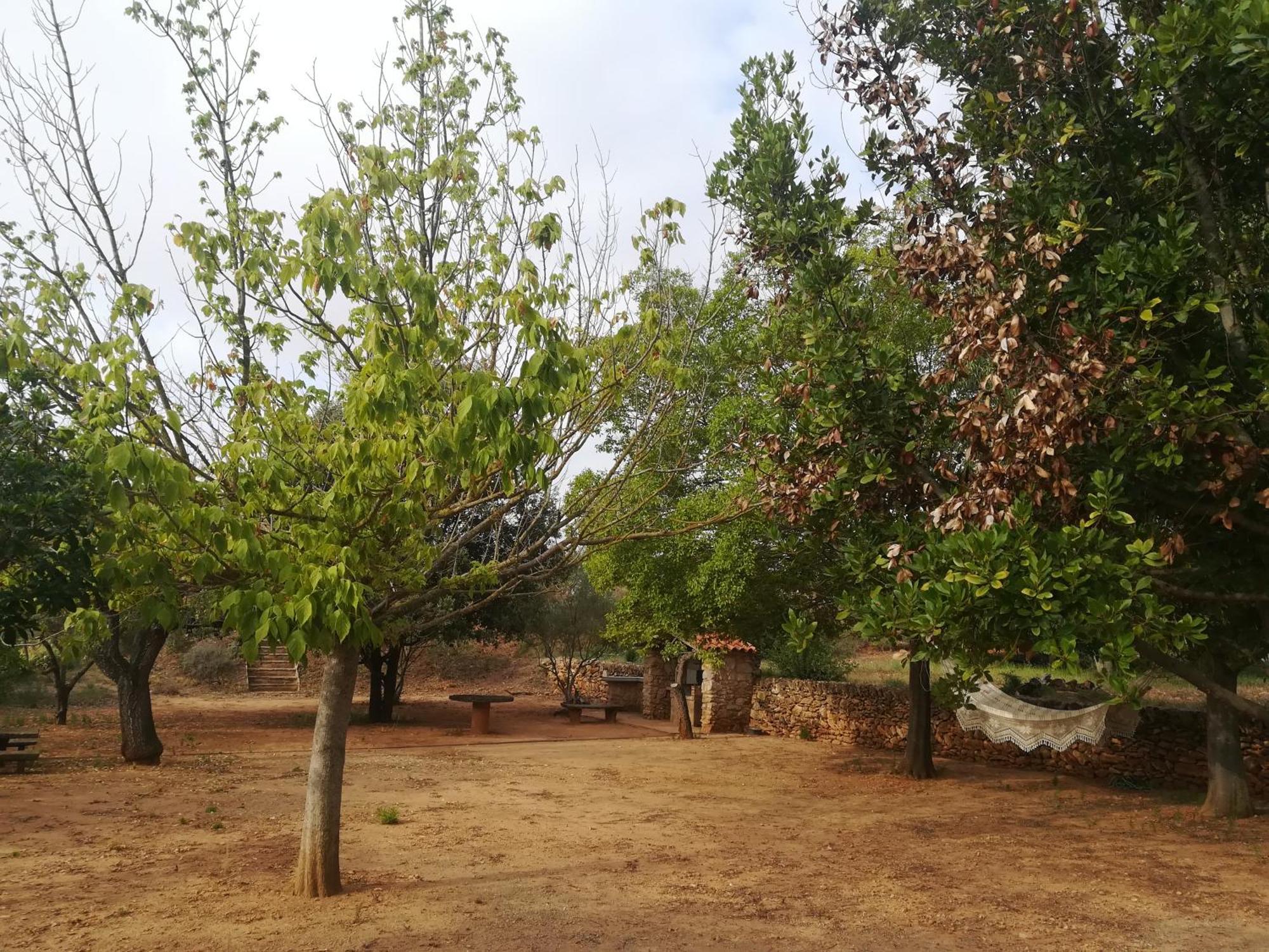 Mas De Paco, Chimenea, Barbacoa Y Piscina Villa Vall dʼAlba Buitenkant foto